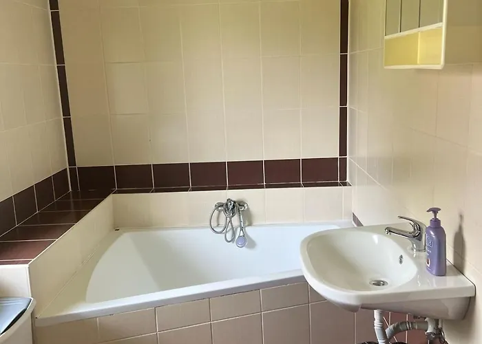 Jenduv Domecek 度假居